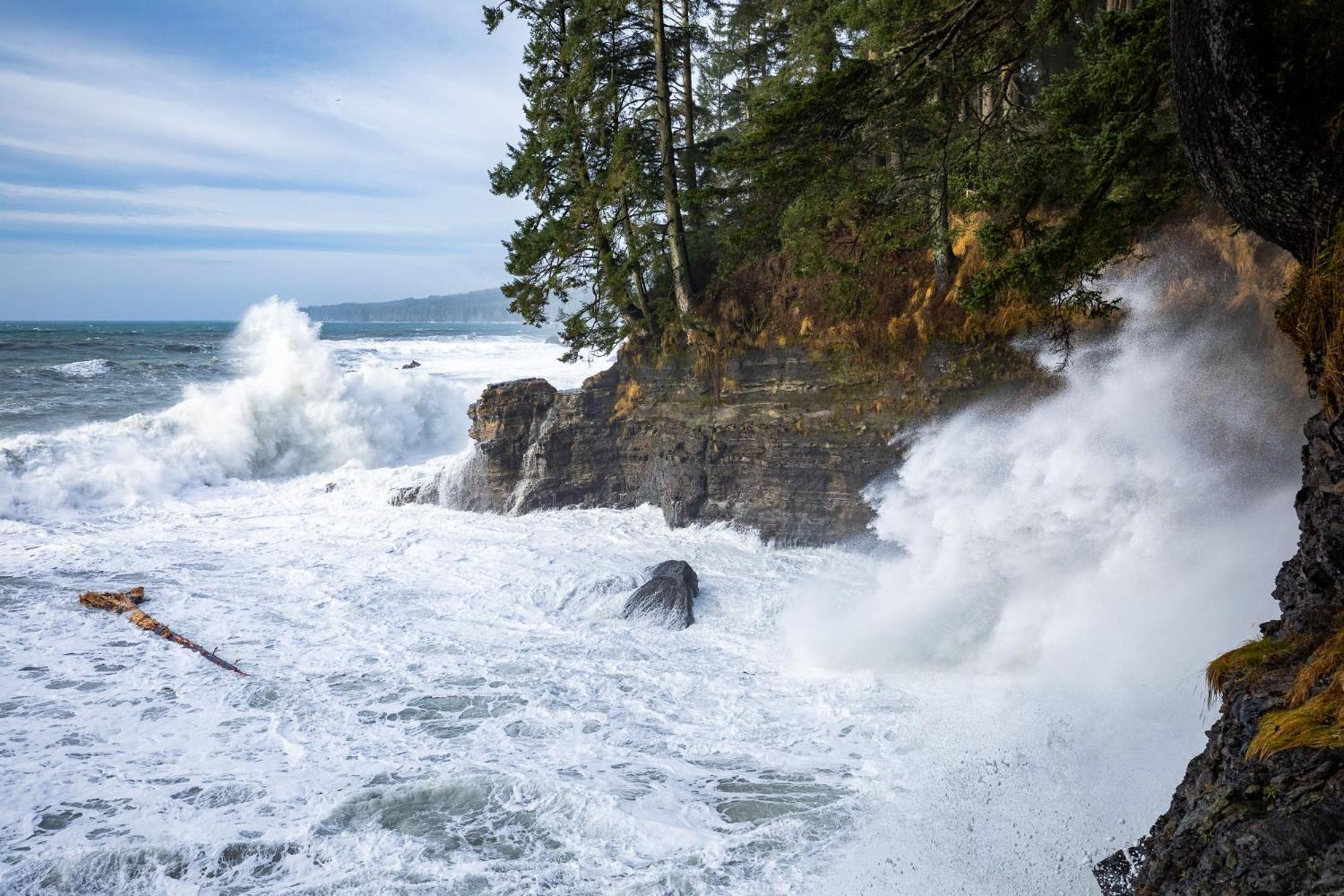 The Great Escape - Port Renfrew Villa Buitenkant foto